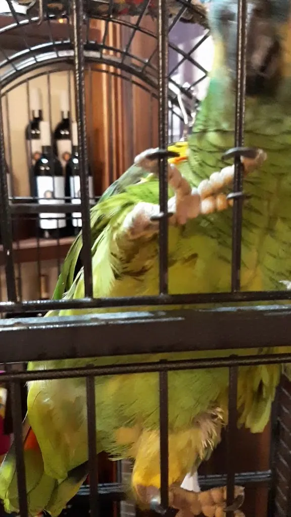 A Malafemmena Osteria Specialita Napoletane_Monteforte Irpino_slider_image_2