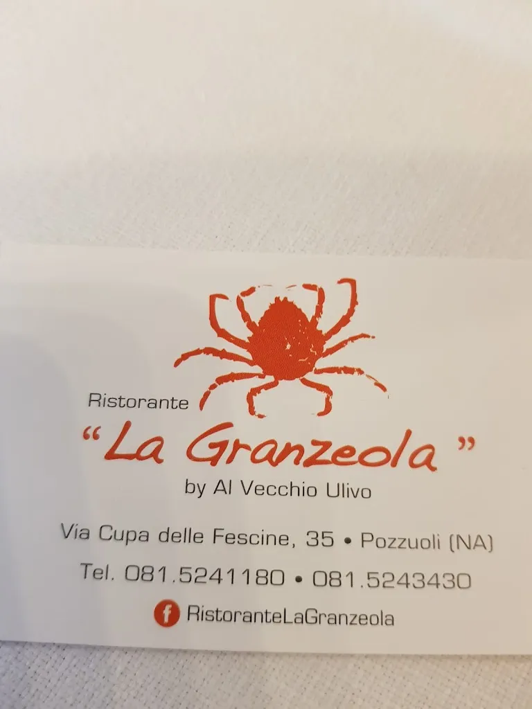 Menu_Ristorante al Vecchio Ulivo_Monterusciello_immagine_1