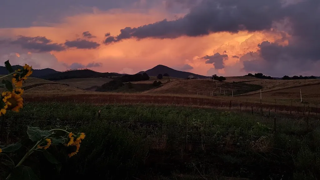 Esther Lienbacher_Agriturismo Il Riccio_Monticchio_review