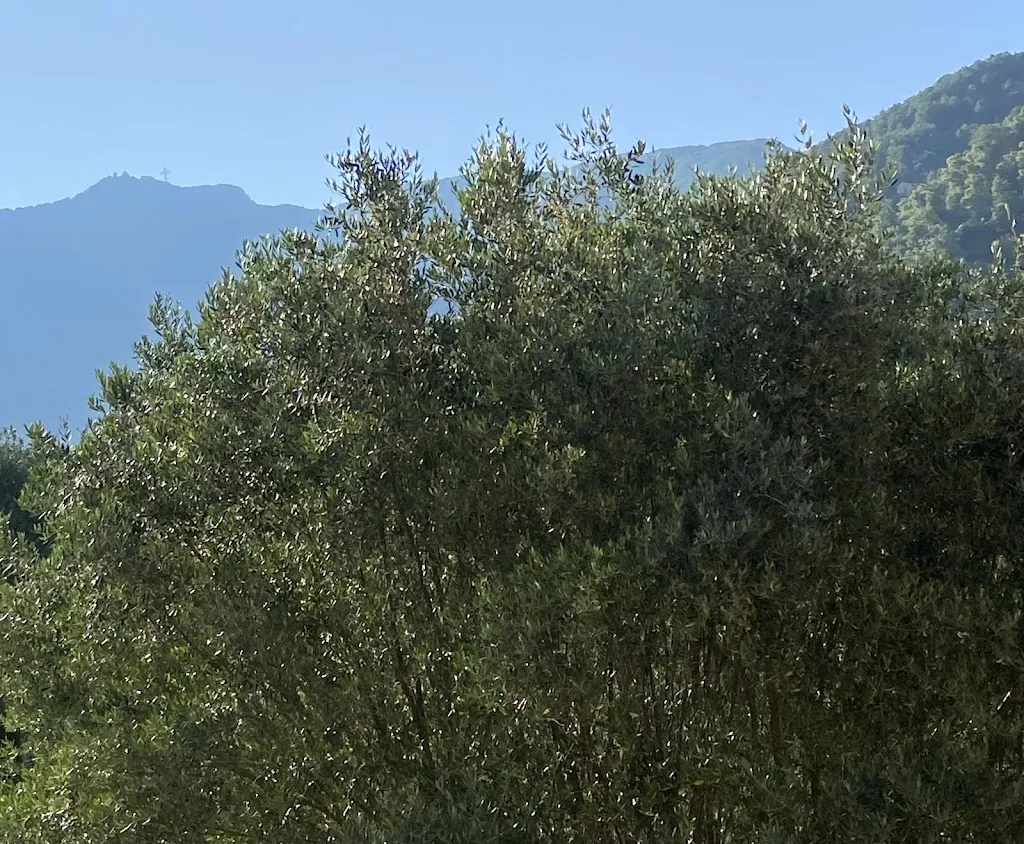 Dr P_Hotel Giardino San Michele_Novi Velia_review