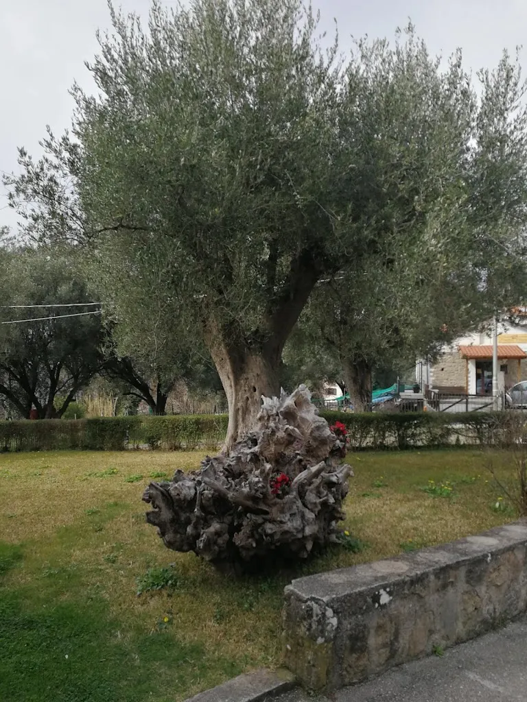 Pietro Rosario Romano_Lo Scrigno delle Bontà_Novi Velia_review