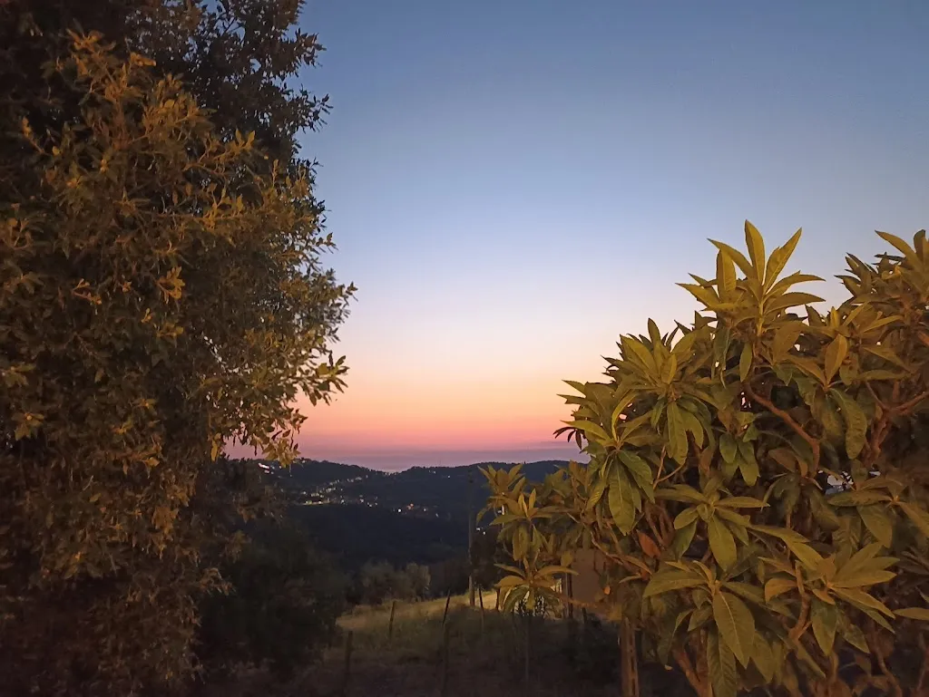 Cira Cibelli_Osteria U Trappito_Ogliastro Cilento_review