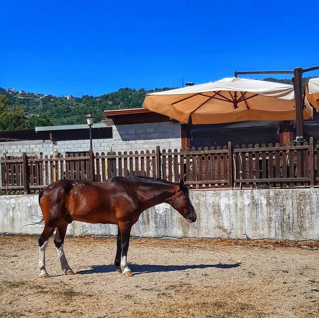 Open Ranch_Ogliastro Cilento_slider_image_3