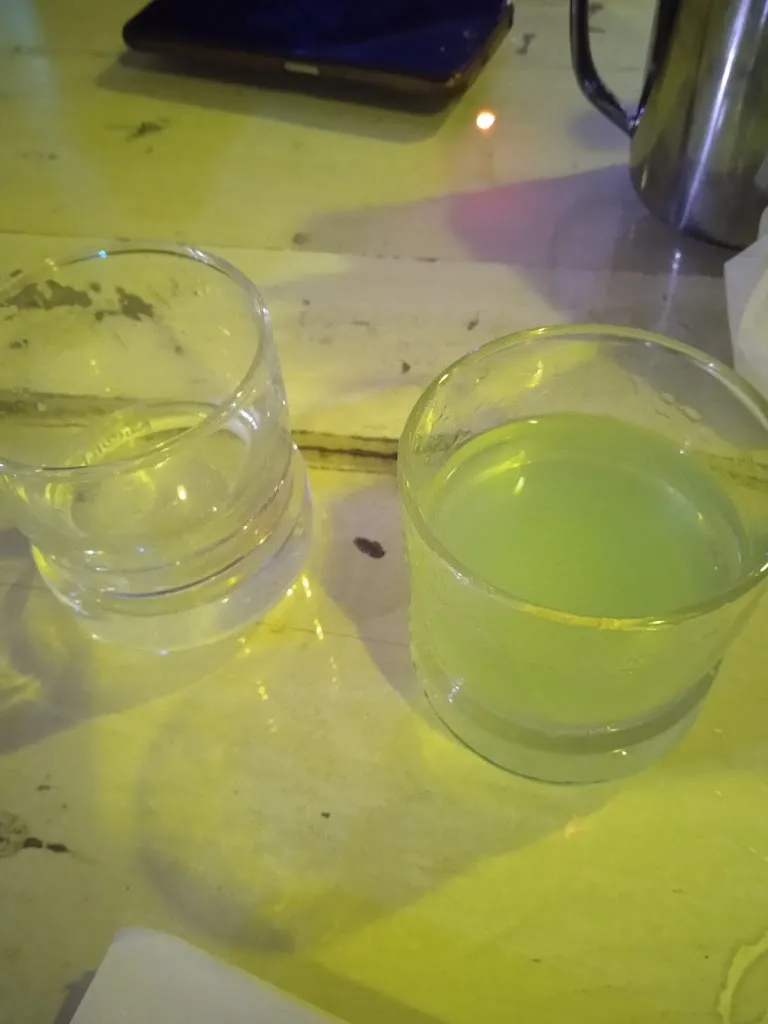 Lucertolins Sorpresa_Shabby_Omignano_review