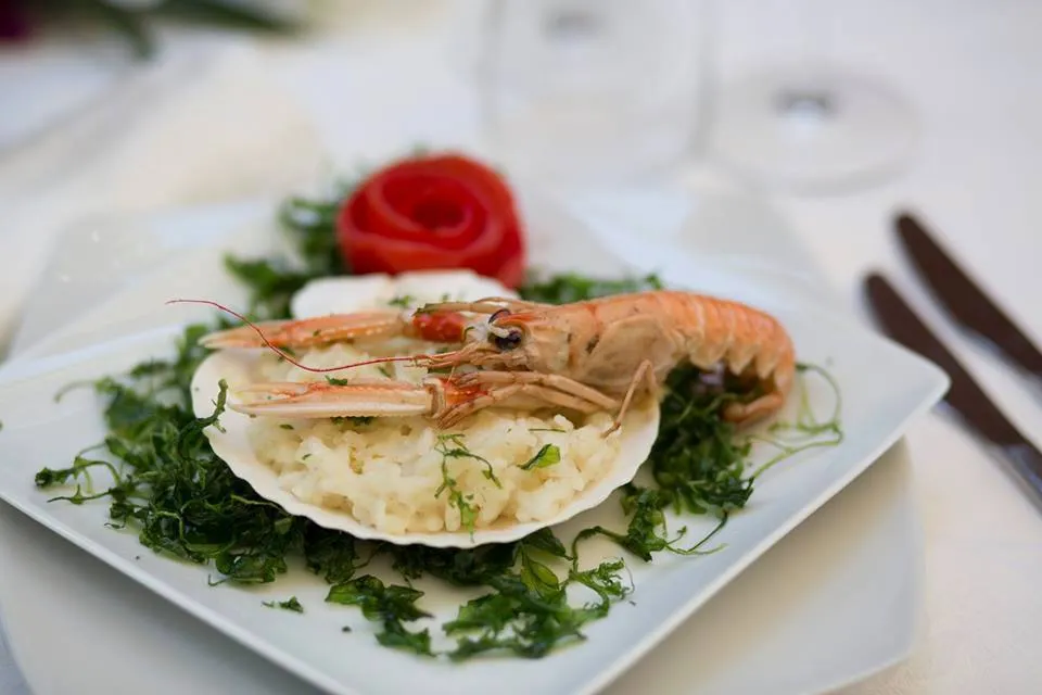 Tenuta Varchera_Oliveto Citra_slider_image_3