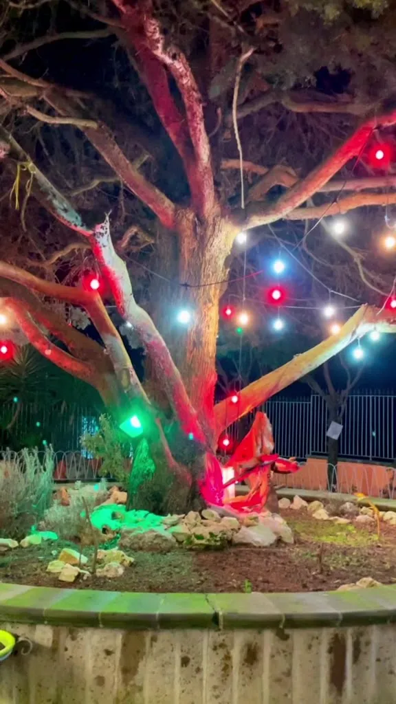 Gabriela Intriago_Ristorante Il Villino_Ottaviano_Bewertung