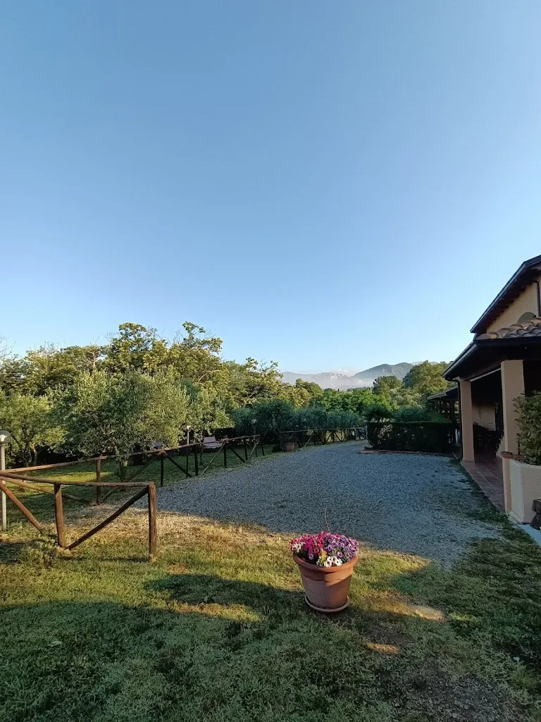 Ristorante @ Agriturismo L'Ulivo_Padula_slider_image_2