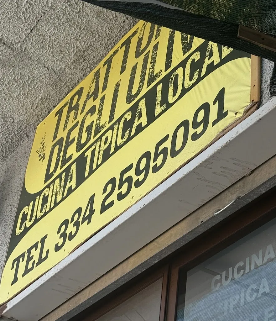 Fabiana “Fabiana Castro” Castro_Trattoria degli Ulivi_Padula_recensione