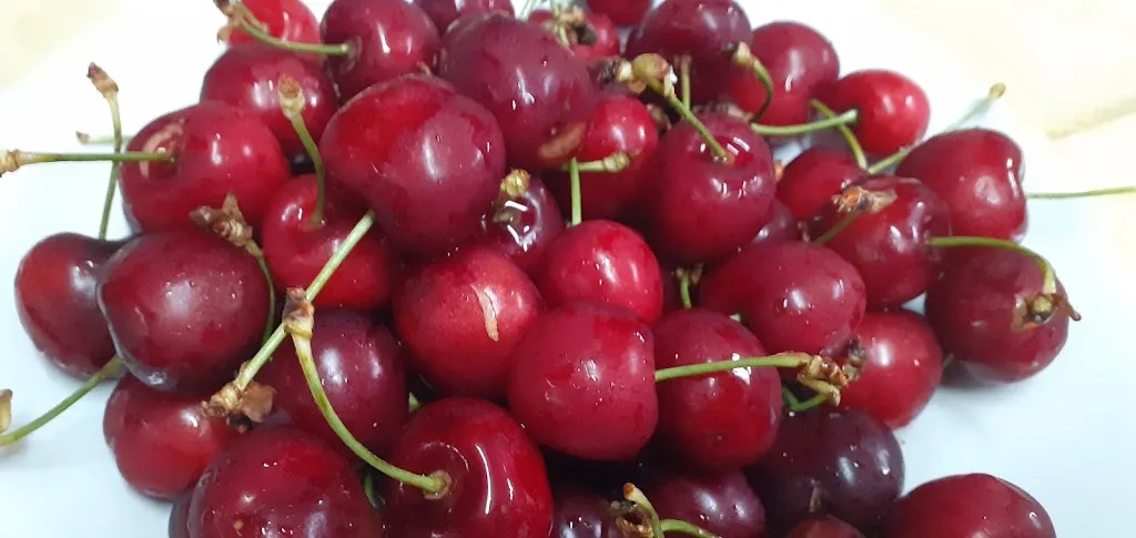 Agriturismo Verde Rurale_Paupisi_slider_image_2