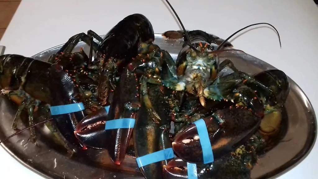 La Taverna Del Capitano_Perdifumo_slider_image_2