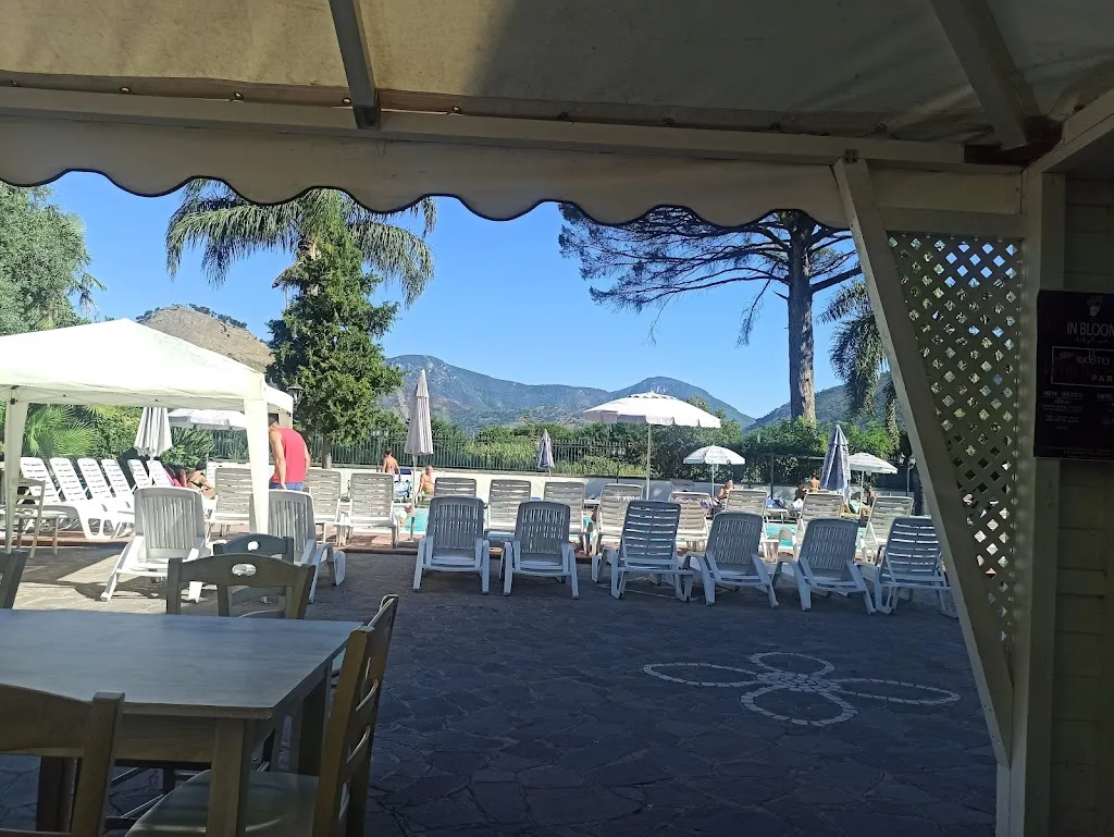 Cinzia Caruso_InBloom-Angolo Nascosto_Piazza del Galdo-Sant'Angelo_review