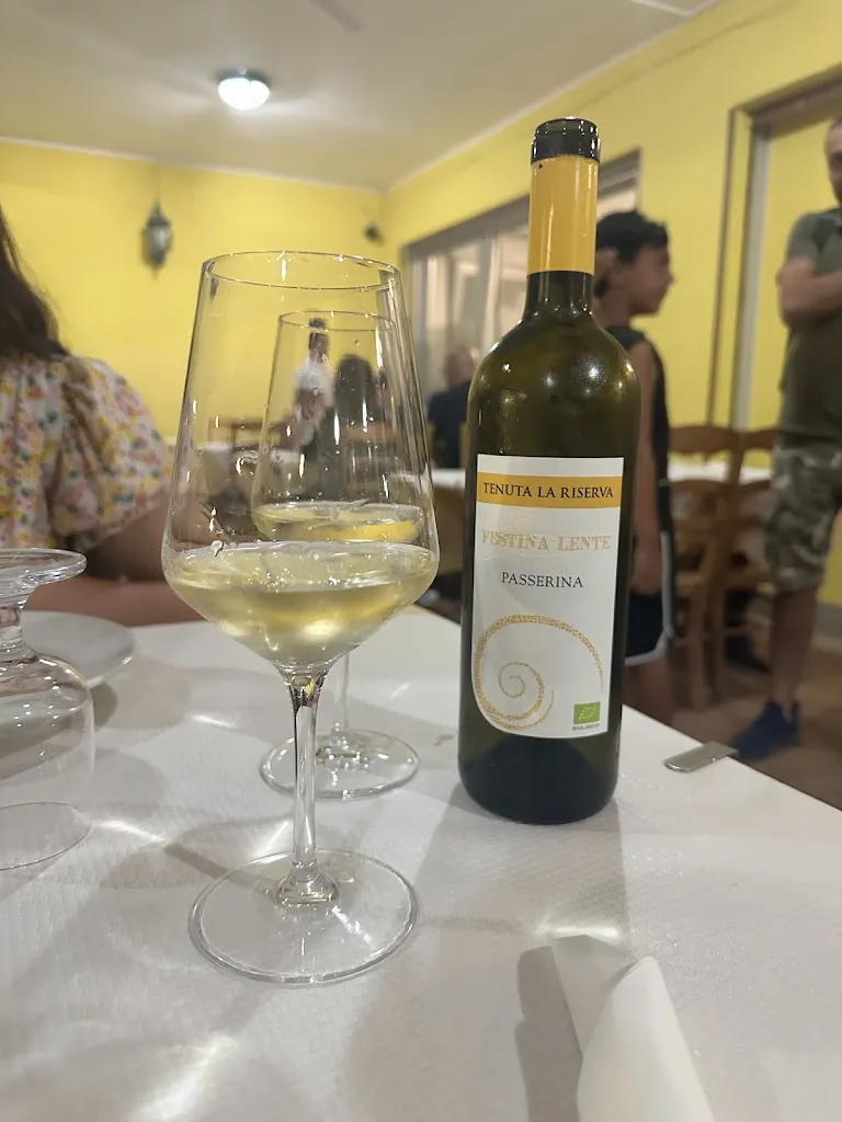 IL BOSS DELLE RUOTE_Trattoria movida_Martinsicuro_review