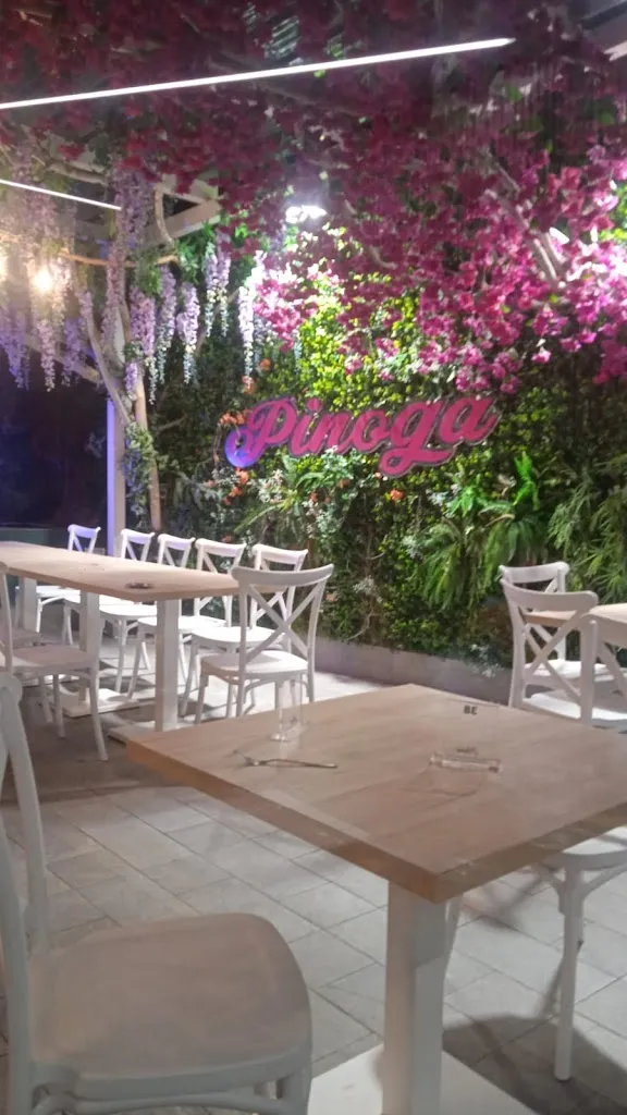 giovanni vacca_Pinoga_Pianura_review