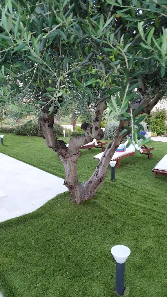 Il Giardino dell'arrosticino_Martinsicuro_slider_image_2