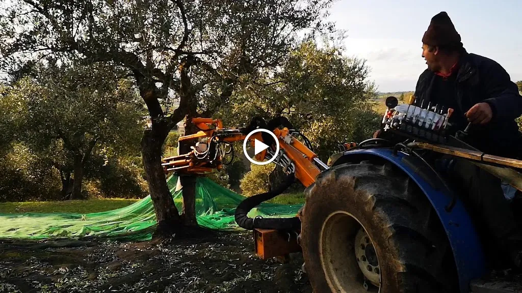 Agriturismo Il Monte_Pietrelcina_slider_image_2