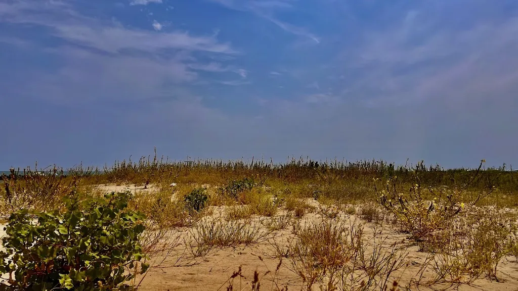 Mauro Sernicoli_Boca Beach_Martinsicuro_review