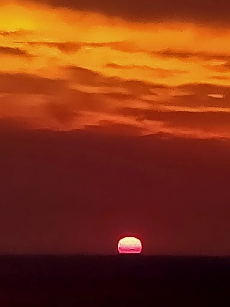 Roberto Rossi_Agriturismo Armo - Braceria Con Macelleria Interna Di A. Mariano E L. Montuori Srl_Pisciotta_recensione