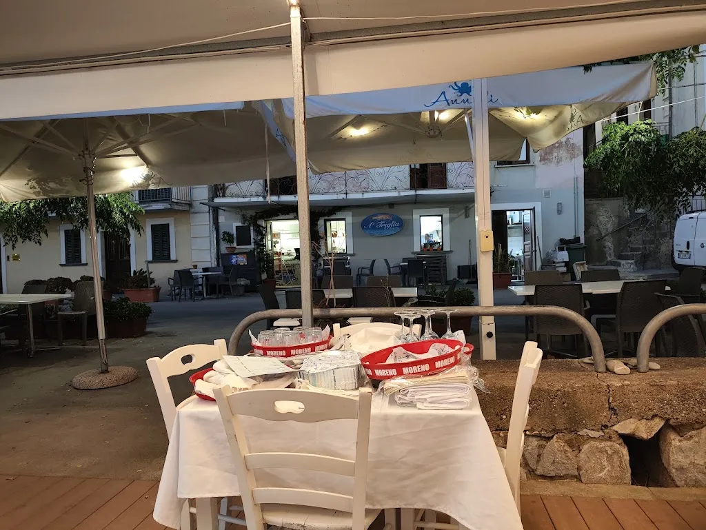 Davide Parisi_Ristorante 'A Triglia_Pisciotta_review