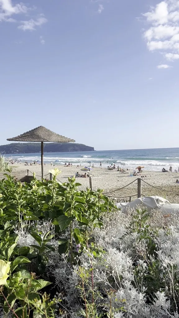 Paolo Chermaz_Anireip_Pisciotta_review