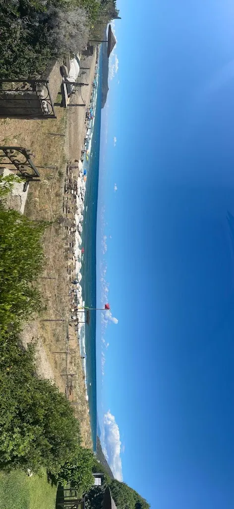 alberto Martini_Anireip_Pisciotta_review