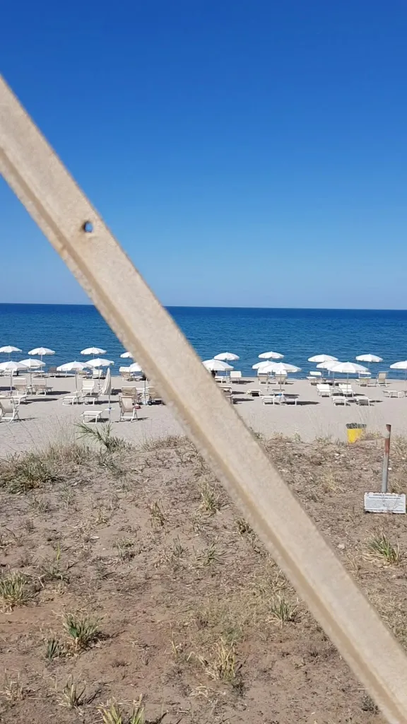 Anireip_Pisciotta_slider_image_2