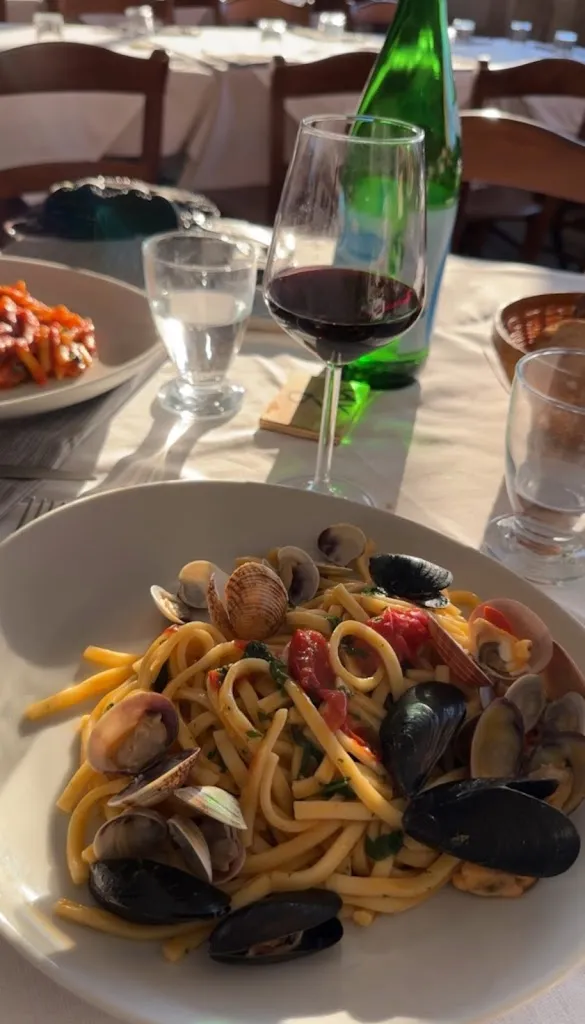 CDV_Al Camino_Pollena Trocchia_review