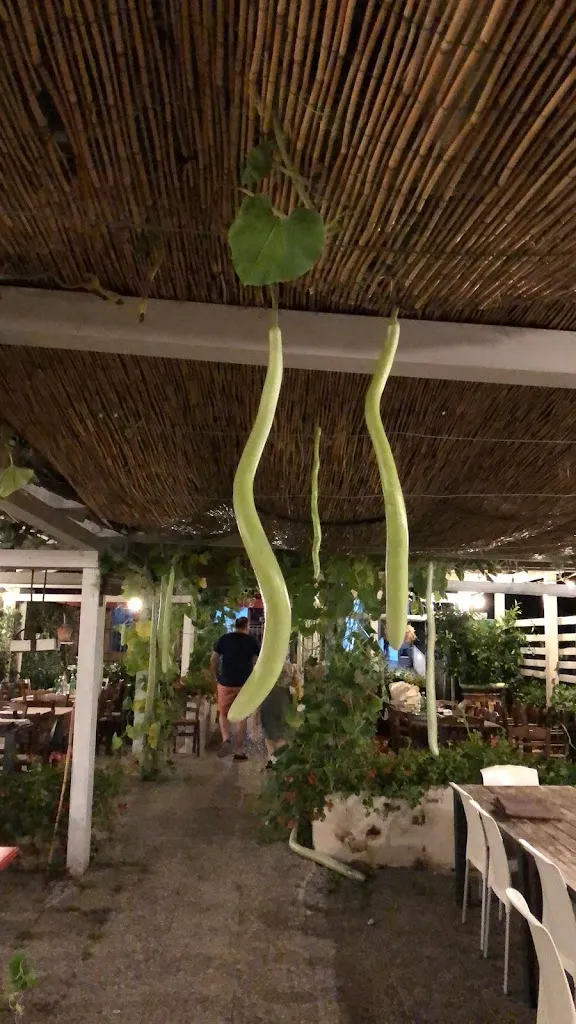 Mario Labella_U Marranghino_Policastro Bussentino_review