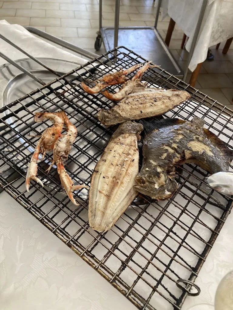 lisa petrucci_Leon d'Or_Martinsicuro_review