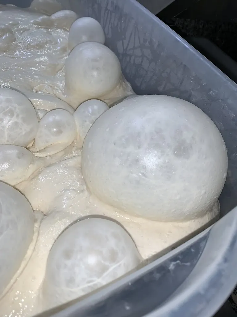 Menu_Dejavù 1.0_Atessa_image_6