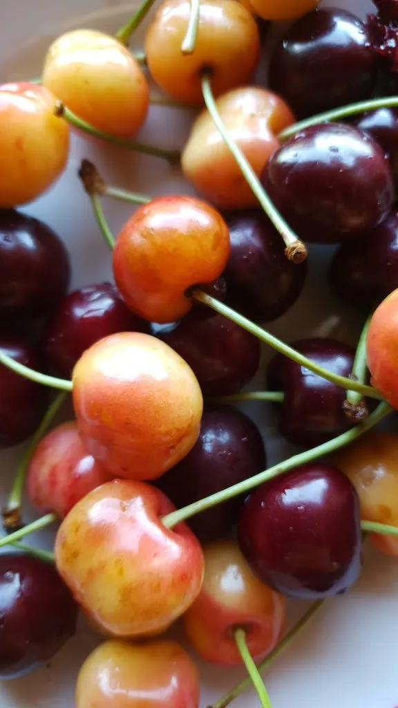 Menu_agriturismo chalet helen_Pontelatone_image_7