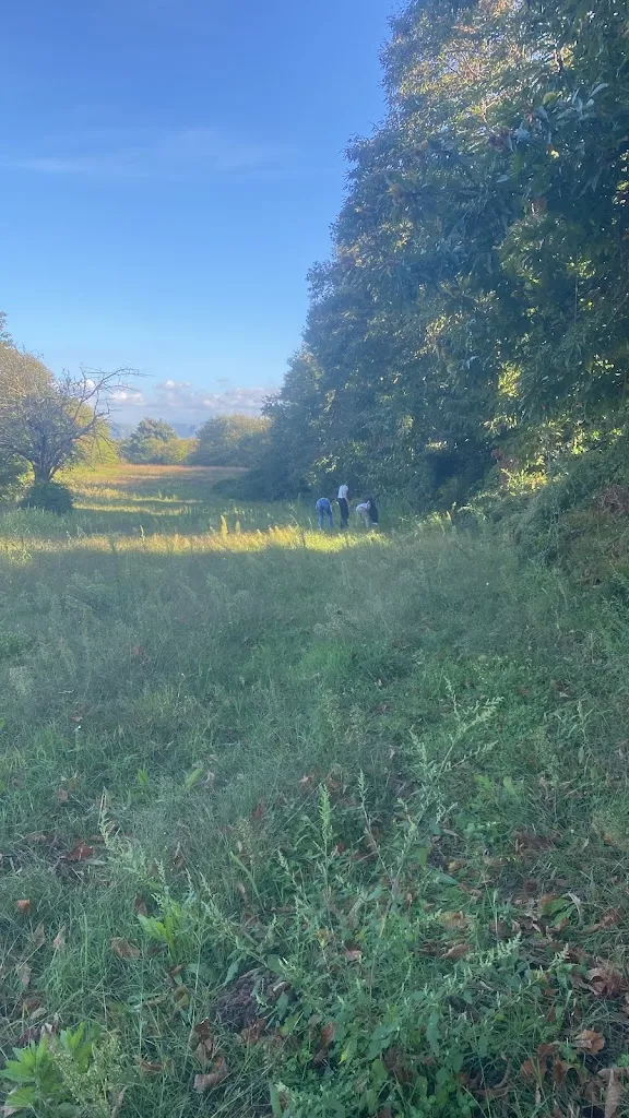 Raffaele Tagliamonte_Tenuta Don Sebastiano_Pontelatone_recensione