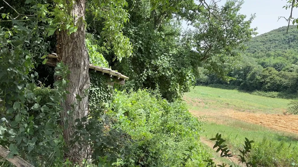 Tenuta Don Sebastiano_Pontelatone_slider_image_2