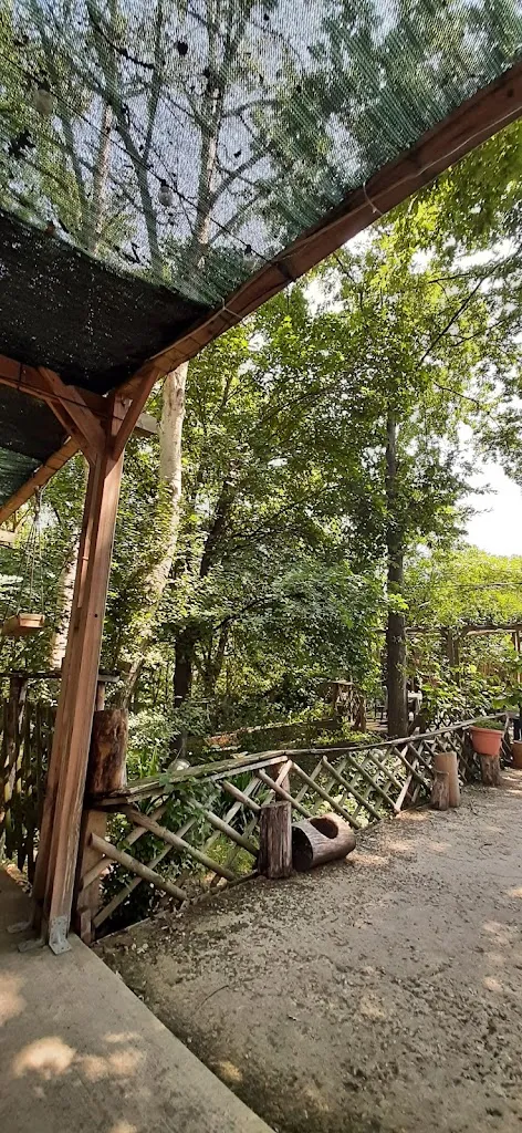 Cinzia Dall'Ozzo_Agriturismo Ca Delle Quercie_Ponticelli_review