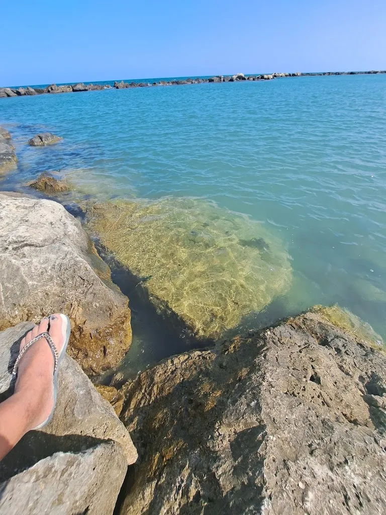 MULTISERVICE CMB S.R.L._Martinsicuro via lungomare Europa 80_Martinsicuro_review