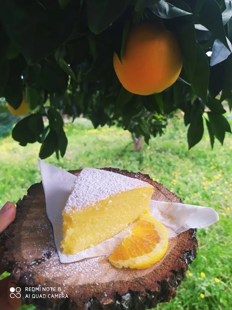 Menu_Agriturismo Il Melograno_Postiglione_image_7