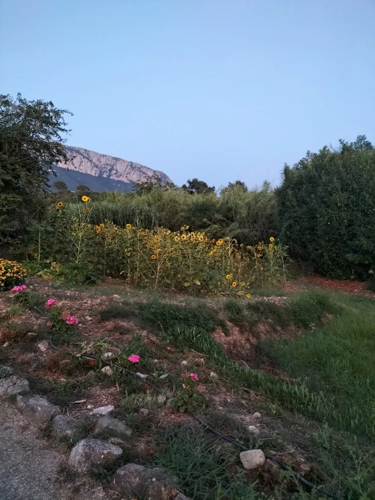 Carmen Famiglietti_Agriturismo Il Melograno_Postiglione_review