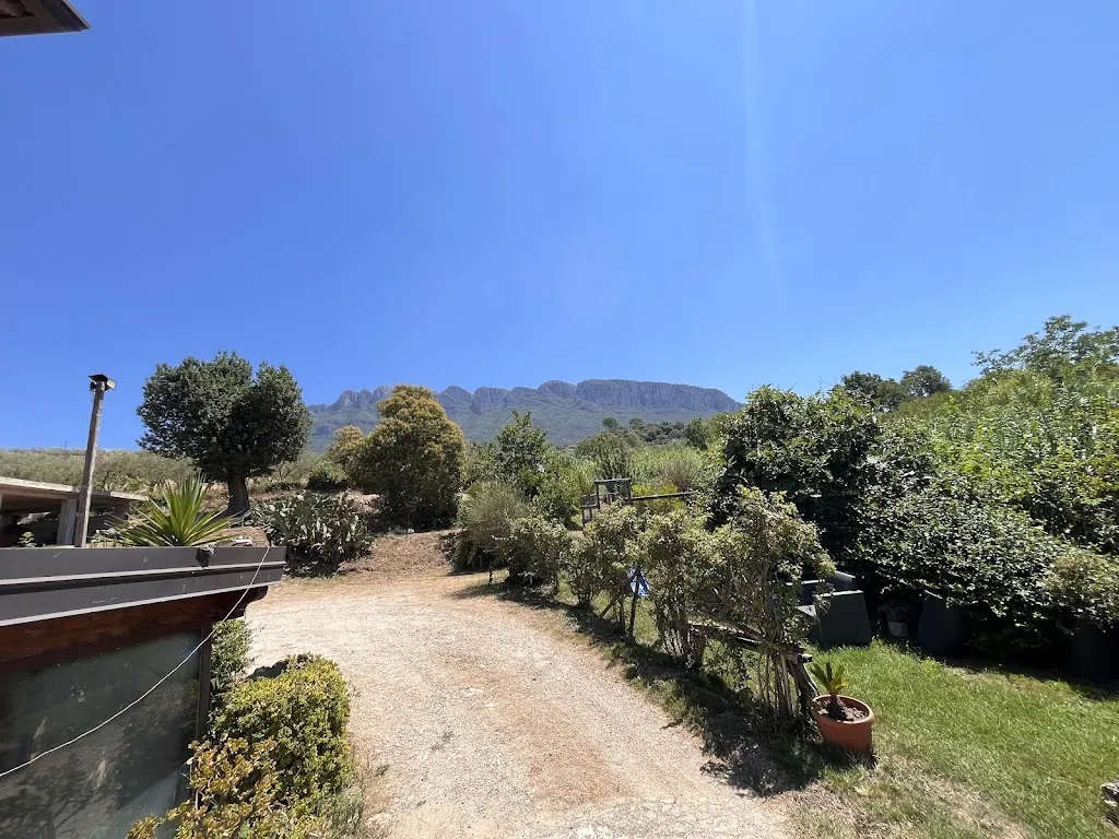 tiziano cosentino_Agriturismo Il Melograno_Postiglione_review