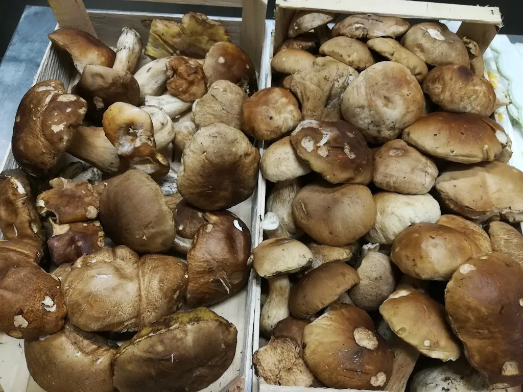 Menu_Osteria Il Postiglione_Postiglione_image_8