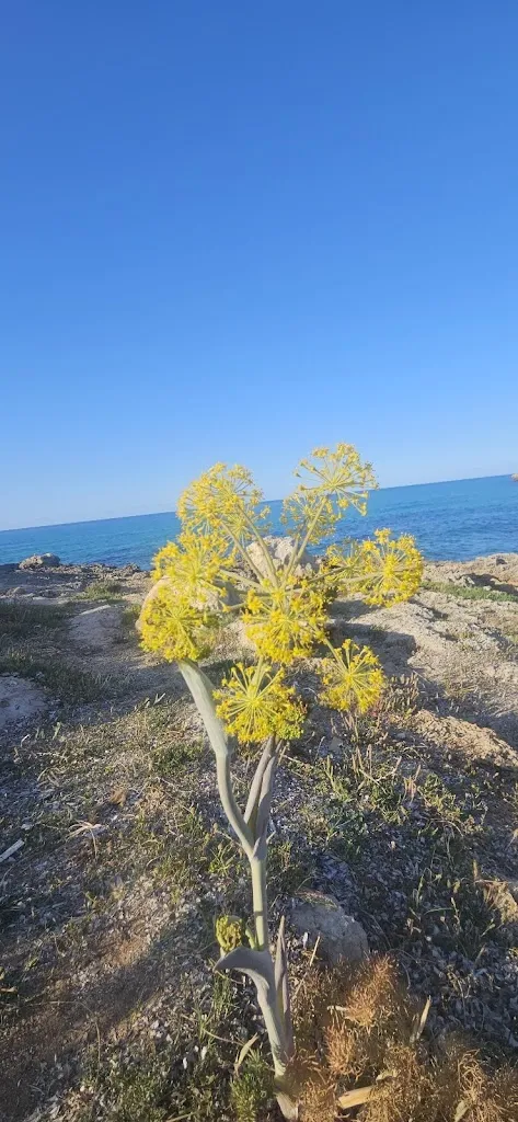 Scott Bell _Torre Pozzillo_Pozzillo_review