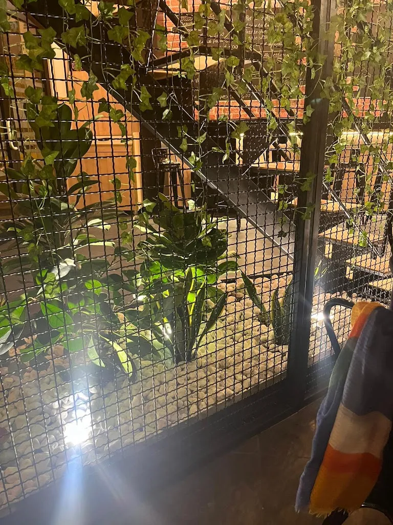 ESTER -STICHPICCOLOSTICH_South Door_Pratola Serra_review