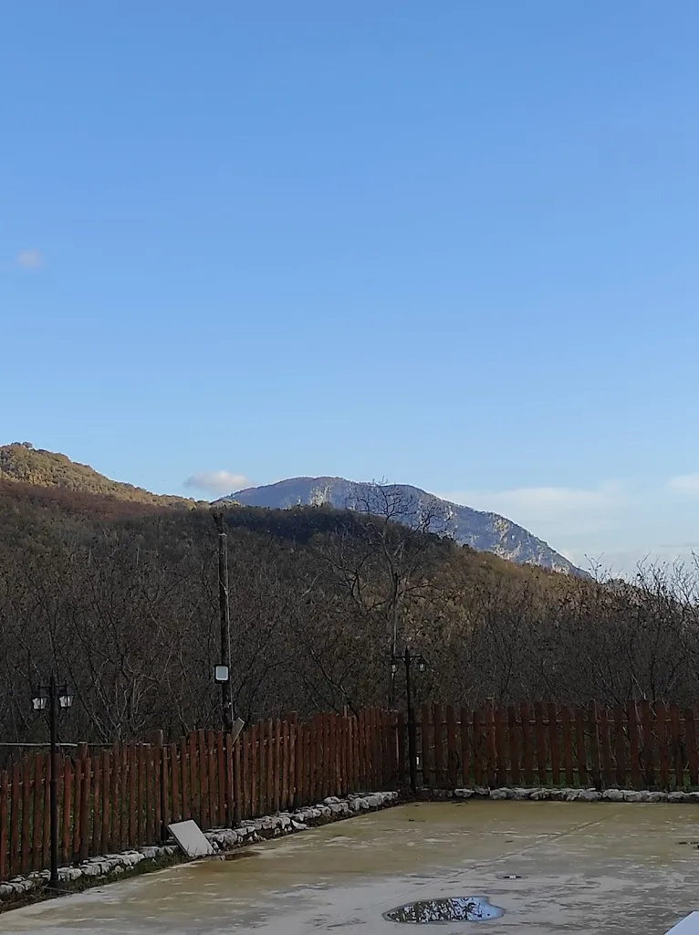 Salvatore Vestuto_Agriturismo Falivene_Prepezzano_recensione