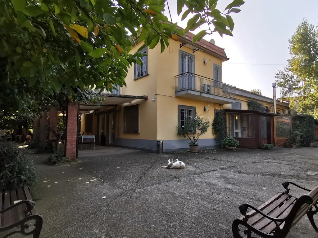 Lisha Wang_Agriturismo Bosco Farneto_Presenzano_review