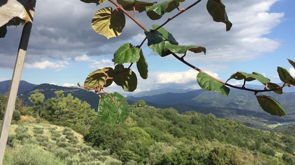 Agriturismo Oliveta_Prignano Cilento_slider_image_2