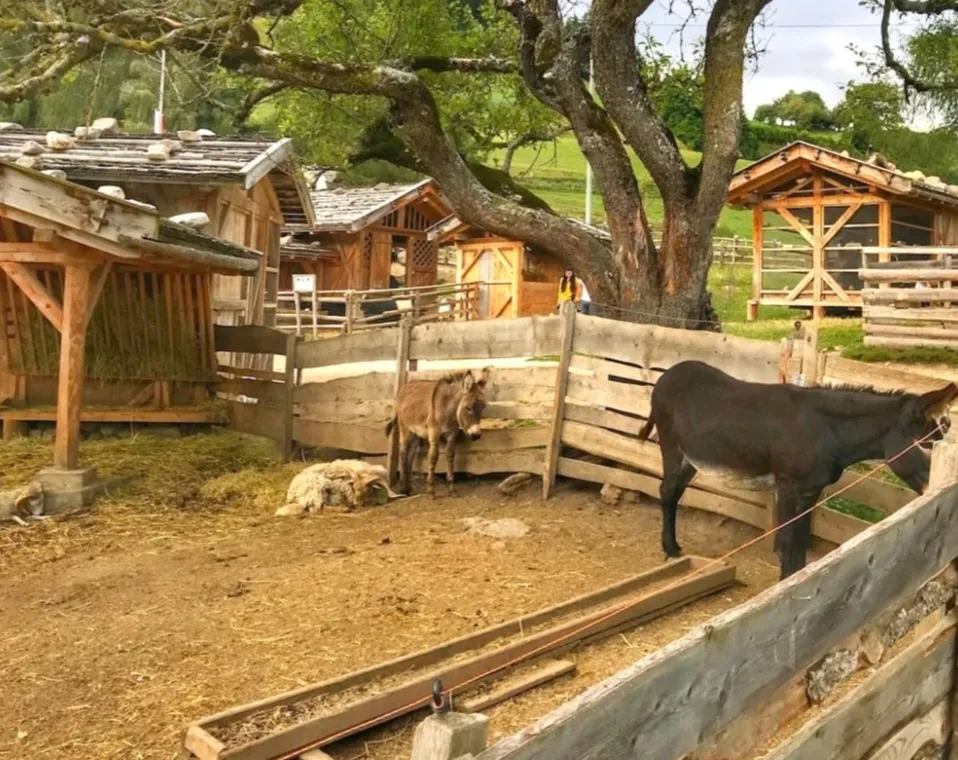 Fattoria Viscione_Roccabascerana_slider_image_3