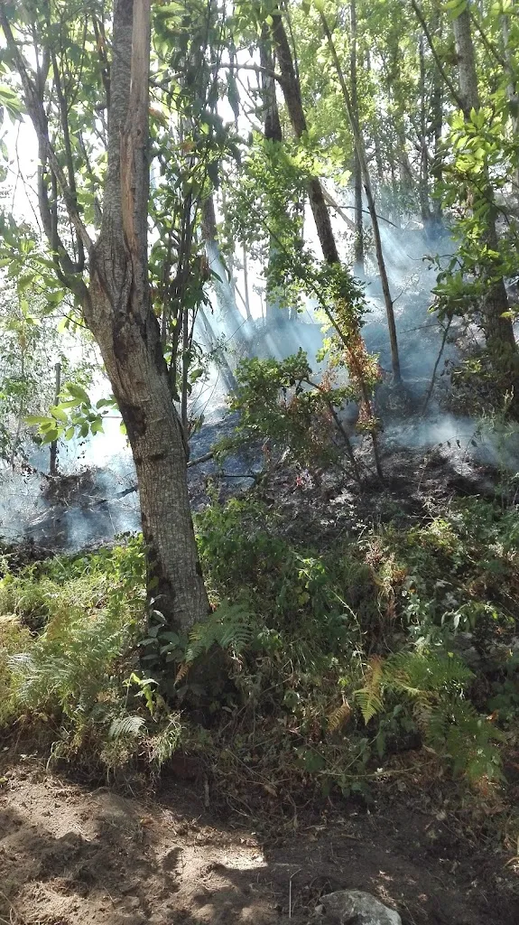 In Syria Cafè_Roccabascerana_slider_image_3