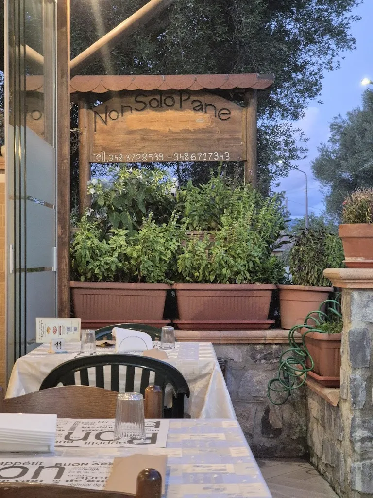 Trattoria Pizzeria Non Solo Pane ristorante a Roccagloriosa