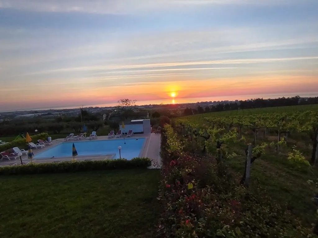 Paolo Serra_Vigneto - Italian Restaurant & B&B_Martinsicuro_review