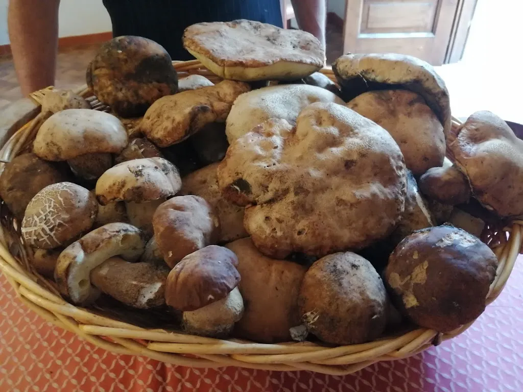 Menu_Ristorante La Neviera_Roccamonfina_immagine_3