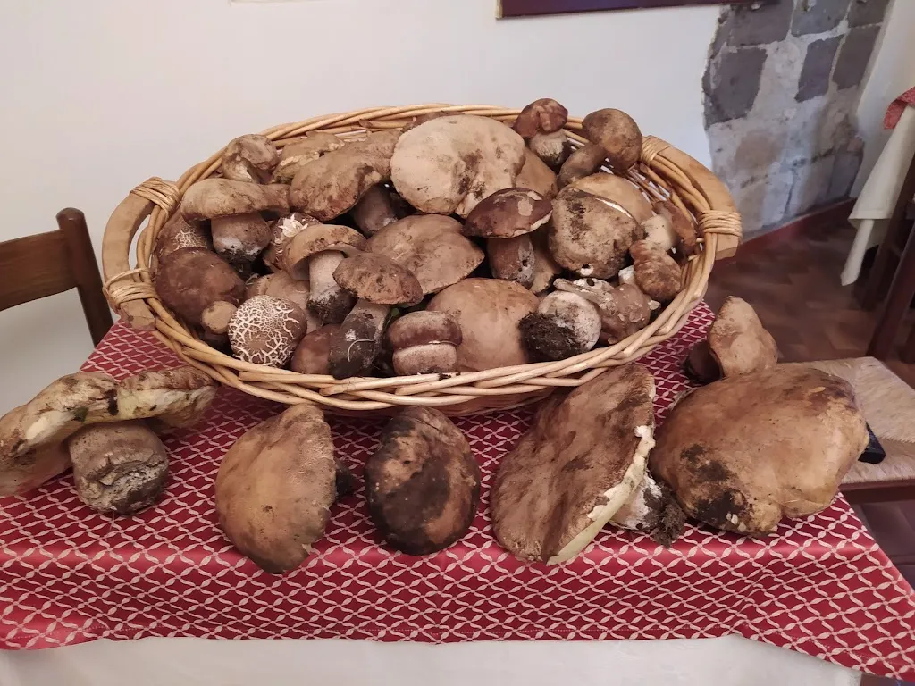 Ristorante La Neviera_Roccamonfina_slider_image_2