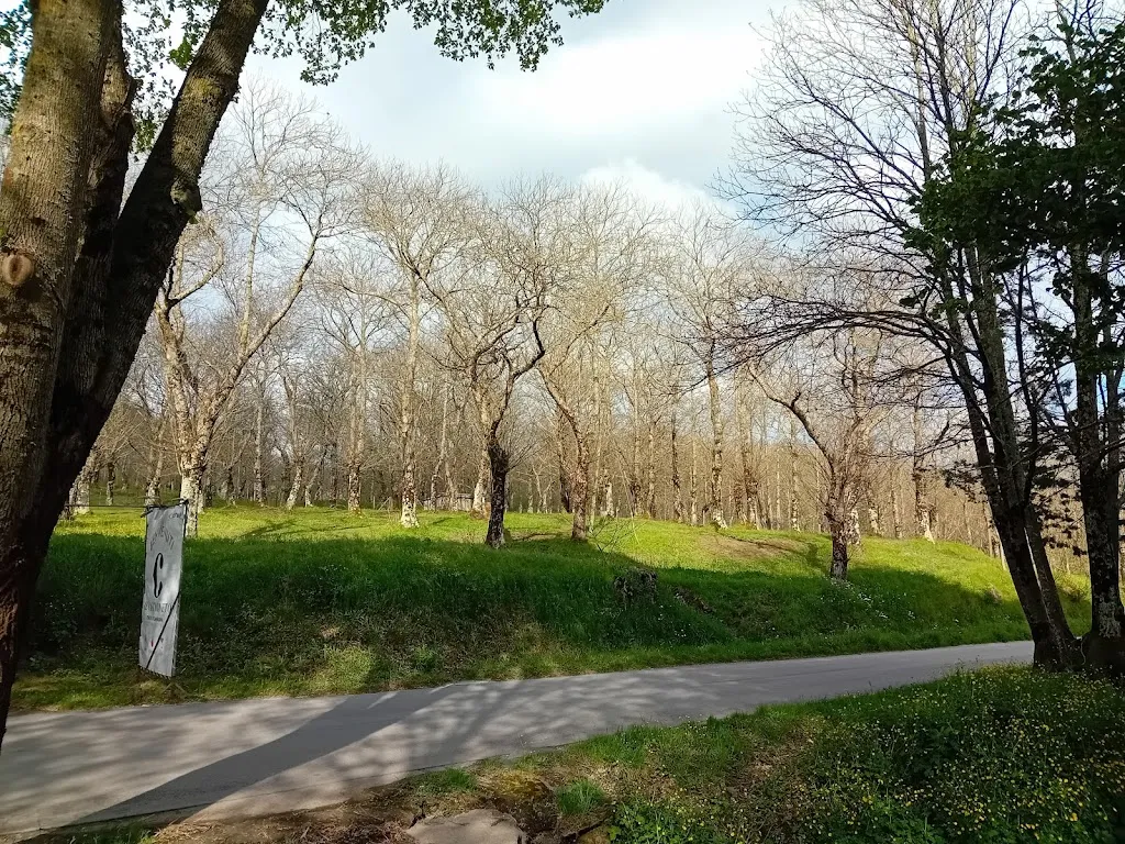 Davide Cima_Il Castagneto Oasi Di Campagna Roccamonfina_Roccamonfina_recensione